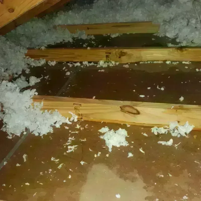 Attic Water Damage in Clearwater County, MN