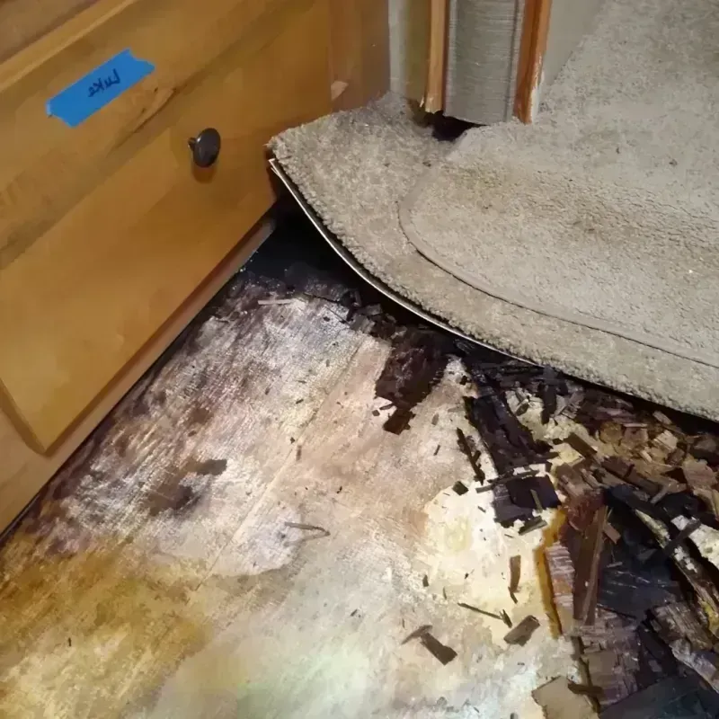 Best Wood Floor Water Damage Service in Clearwater County, MN